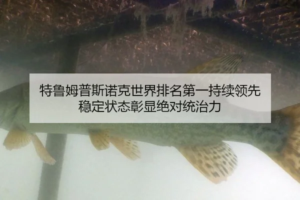 te-lu-mu-pu-si-nuo-ke-shi-jie-pai-ming-di-yi-chi-xu-ling-xian-wen-ding-zhuang-tai-zhang-xian-jue-dui-tong-zhi-li-2-818.jpg